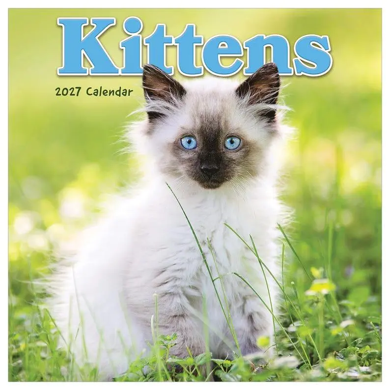 2027 Kittens Mini Calendar