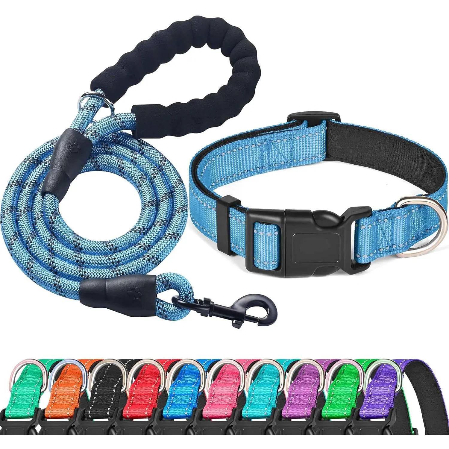 Vivid Blue Collar+Leash
