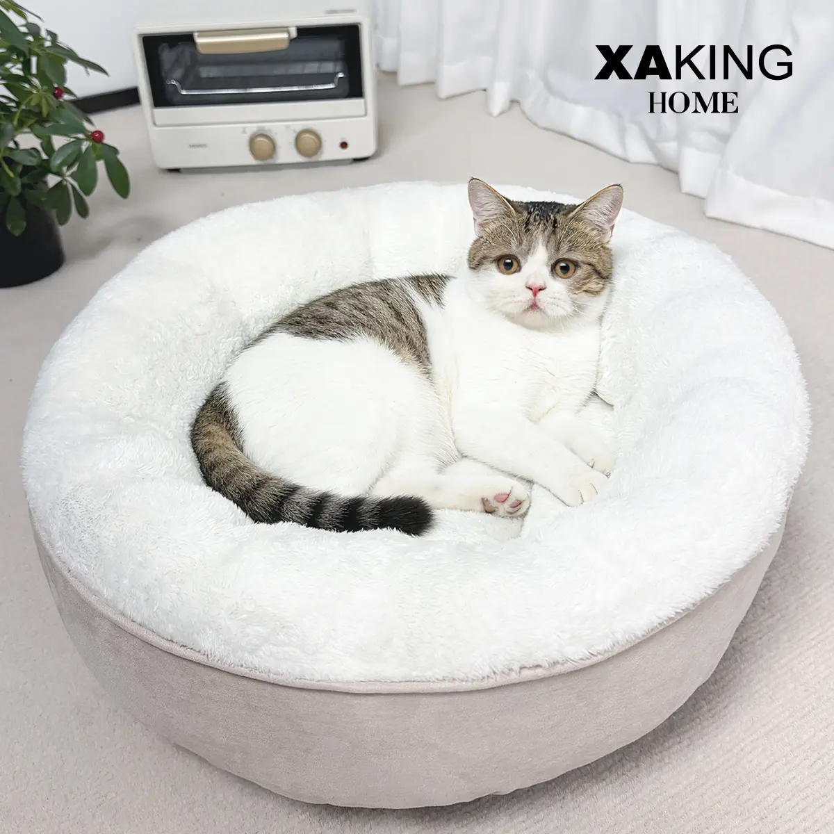 XAKING Round Shape Donut Bed for Pets - Home Accessory, Soft Suede & Premium Washable Flannel, High-Density Padding, Raised Bolster Rim for Neck & Spine Support, Nonslip Base, 19.7"x19.7"x5.9", All Seasons Ideal Gift