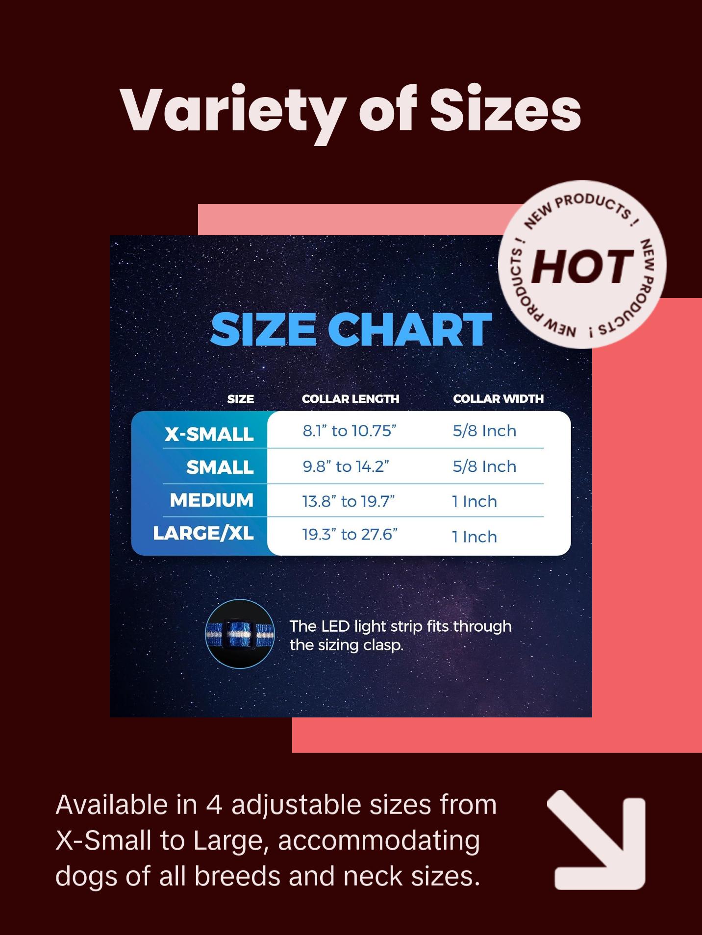 BLAZIN Brightest Light up Dog Collars - the Original LED Dog Collar with 1,000 Feet of Visibility - USB Rechargeable Waterproof Dog Collar Light - Dog Lights for Night Walking - USA Brand Blazin