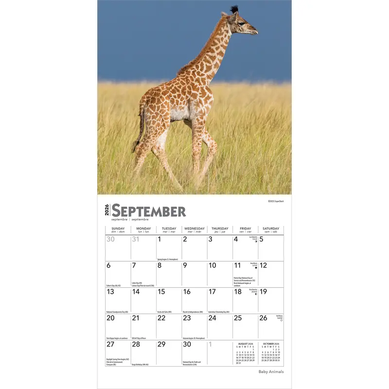 Baby Animals | 2026 7 x 14 Inch (Hanging) Monthly Mini Wall Calendar | BrownTrout | Domestic Pets Chicken Small Cute 3
