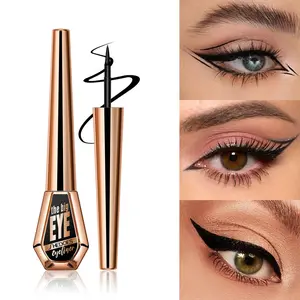 Classic Cool Eyeliner Liquid, Waterproof Sweatproof Quick Dry Smudge Proof, Smooth Spray, Eyeliner