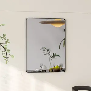 Eviva Harmony 30" x 40" Rectangular Black Metal Framed Mirror