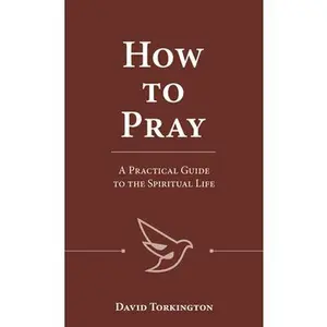 USED-How to Pray: A Practical Guide to the Spiritual Life by Torkington, David (Paperback)