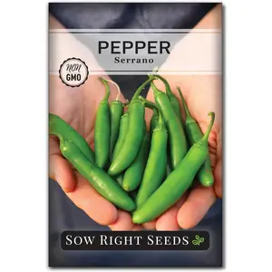 Serrano Hot Pepper Seed for Planting - Non-GMO Heirloom Packet Instructions to Plant an Outdoor Home Vegetable Garden - Productive and Hot Chili Peppers - Hydroponics Growing (1)