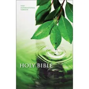 USED-NIV Holy Bible, Textbook Edition by Zondervan (Unknown)