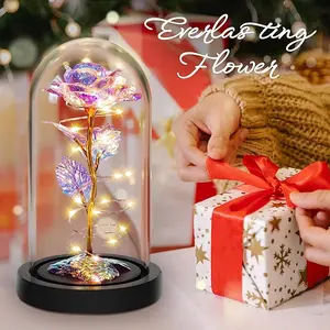 Special Night Rose Gifts for Women, LED Rose Lantern Birthday Gifts for Women, Womens Gifts for Christmas Rose Presents Mom Wife Sister Grandma, Colorful Galaxy Crystal Light Up Rose Flowers in A Glass Dome Her Valentines