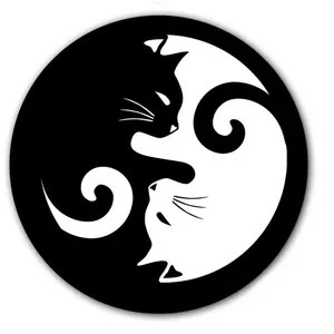 DJ Kitty Cat Ying Yang #1 Vinyl Memorabilia 7" inch Slip Mat Portablism Turntable Slipmat DJ Platter Pad
