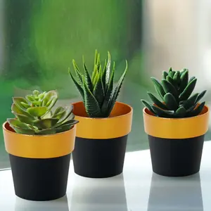 3-Pack Plastic Flower Plant Pots 3" Small Black with Gold Rim - Indoor Decorative Planters