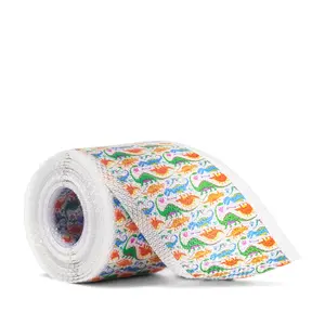 Kid's Scar Tape - Dinosaurs