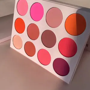 3 in 1 Blush Powder palette waterproof sweat-proof matte finish. 12 Shades contour powder palette . Long Lasting