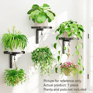 Metal Plant Wall Mount Holder, Modern Industrial Style, Wall Mounted Planter, Hanging Flower Pot, Outdoor Use, No Pot or Plants Included