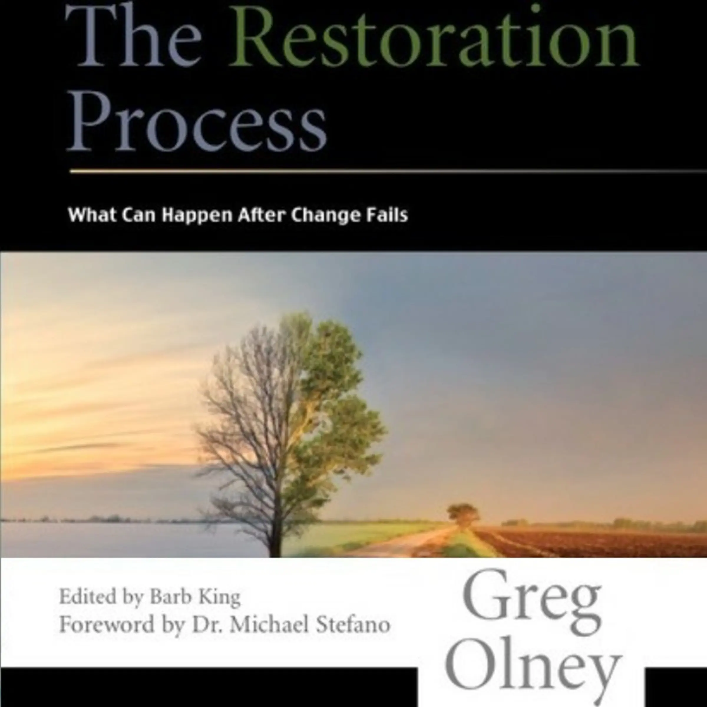 The Restoration Process - What Can Happen After Change Fails