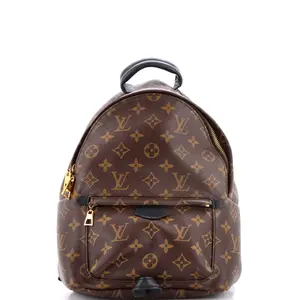 Pre-owned Louis Vuitton Canvas Coated Backpacks Palm Springs Backpack Monogram Canvas PM by Rebag