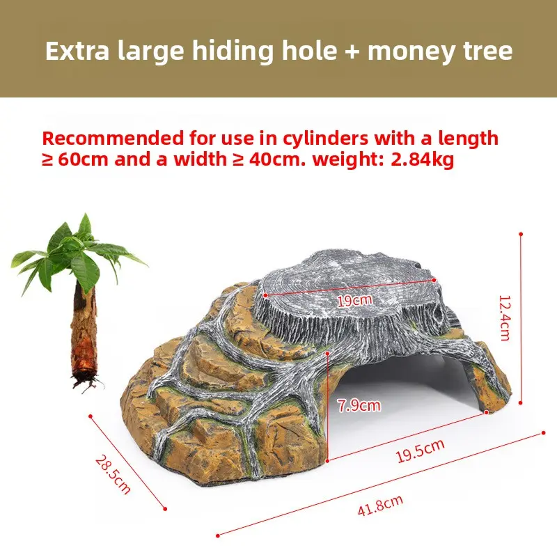 [Sunbathing Platform] Extra Large + Money Tree