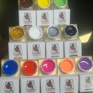 Vixens Playground Paint Glitter Nail Art kits