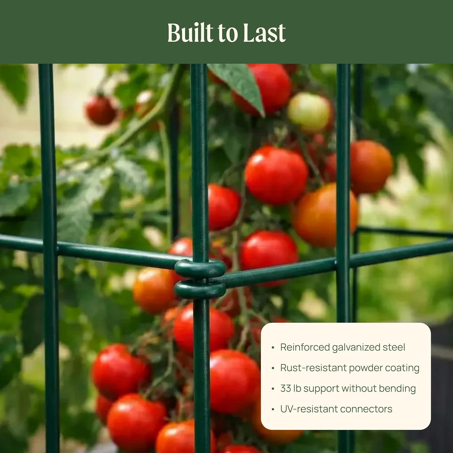 Vego Garden Tomato Cage 16.5" Square Heavy-Duty for Garden & Pots, Rust-Resistant Tomato Stackable Heavy Gauge Plant Cage Trellis Support for Climbing Vegetables Plants