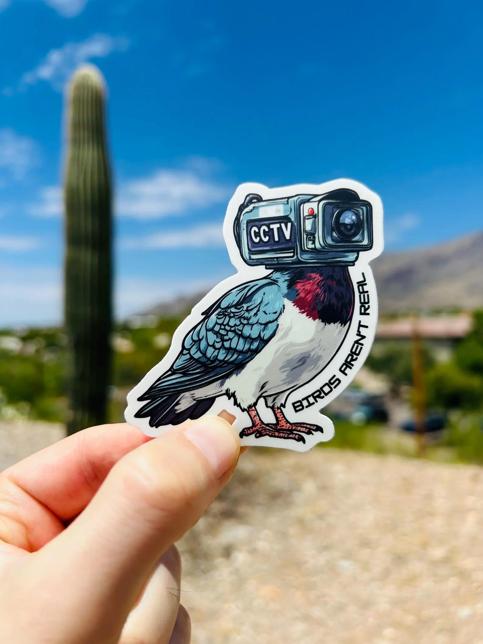 Birds Aren’t Real Conspiracy Theory Sticker, Area 51 Weird Sticker, Gen Z Stickers, Anti Goverment Surveillance Satirical Sticker