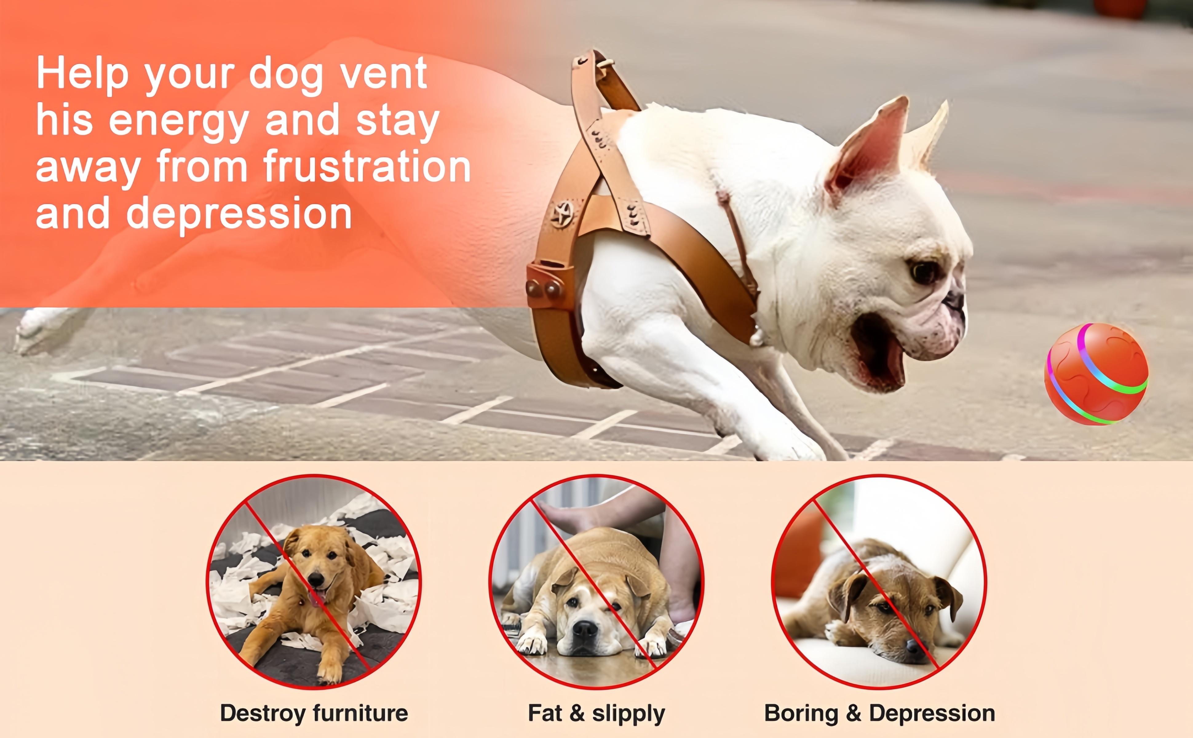 Electric Pet Toy Ball, Interactive Dog Toys with Motion Activated, Squeaky Dog Toy Active Rolling Ball Wicked,360° Automatic Rotating Roller Ball, Rechargeable Pet Exercise Chase Toy Ball, Suitable for Cats and Dogs to Play, Pet Products,
