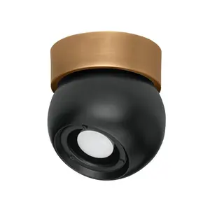 Odin 1-Light Adjustable Flush Mount Ceiling Light in Soft Black or Soft White Finish