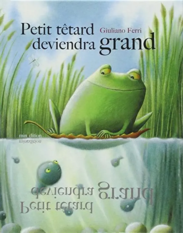 USED-PETIT TETARD DEVIENDRA GRAND - MINI (0022) by Giuliano Ferri (Paperback)