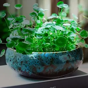 Fired Ceramic Flower Pot, Multifunctional Ceramic Container, Soil Cultivation, Hydroponic Plant Pots, Bohemian Style Decorative Vase
