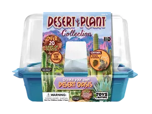 Desert Plant Collection Mini World Terrarium