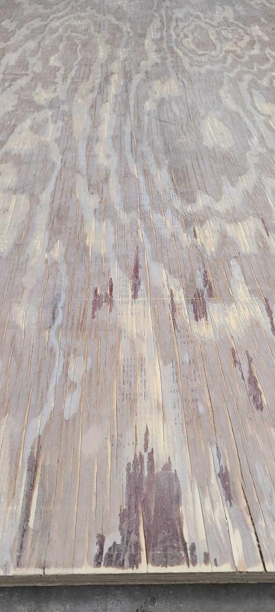 Item: Orange（900W）