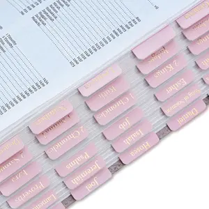 Leather  Tabs, Pink  Tabs for Women Study ,  Foil  Book Tabs,  Study Supplies, 66  Tabs for Old and  Testament, Additional 9 Tabs