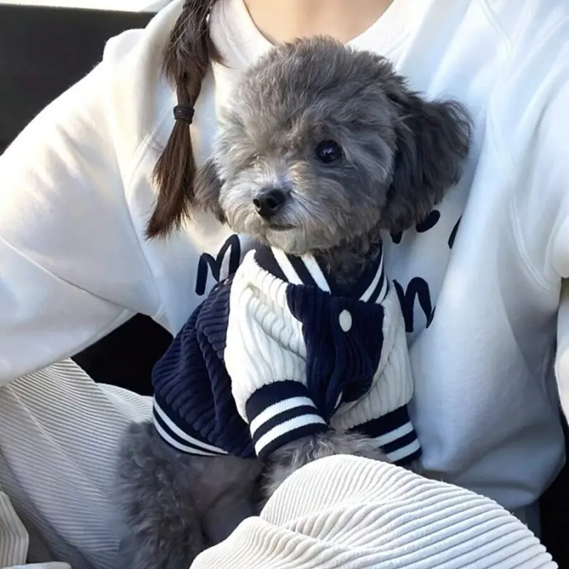 1 Piece Pet Ins Style Dog Baseball Jacket, Fashionable and Fun Dog Pocket Embroidery Design, Spring and Autumn Cat and Dog Clothing