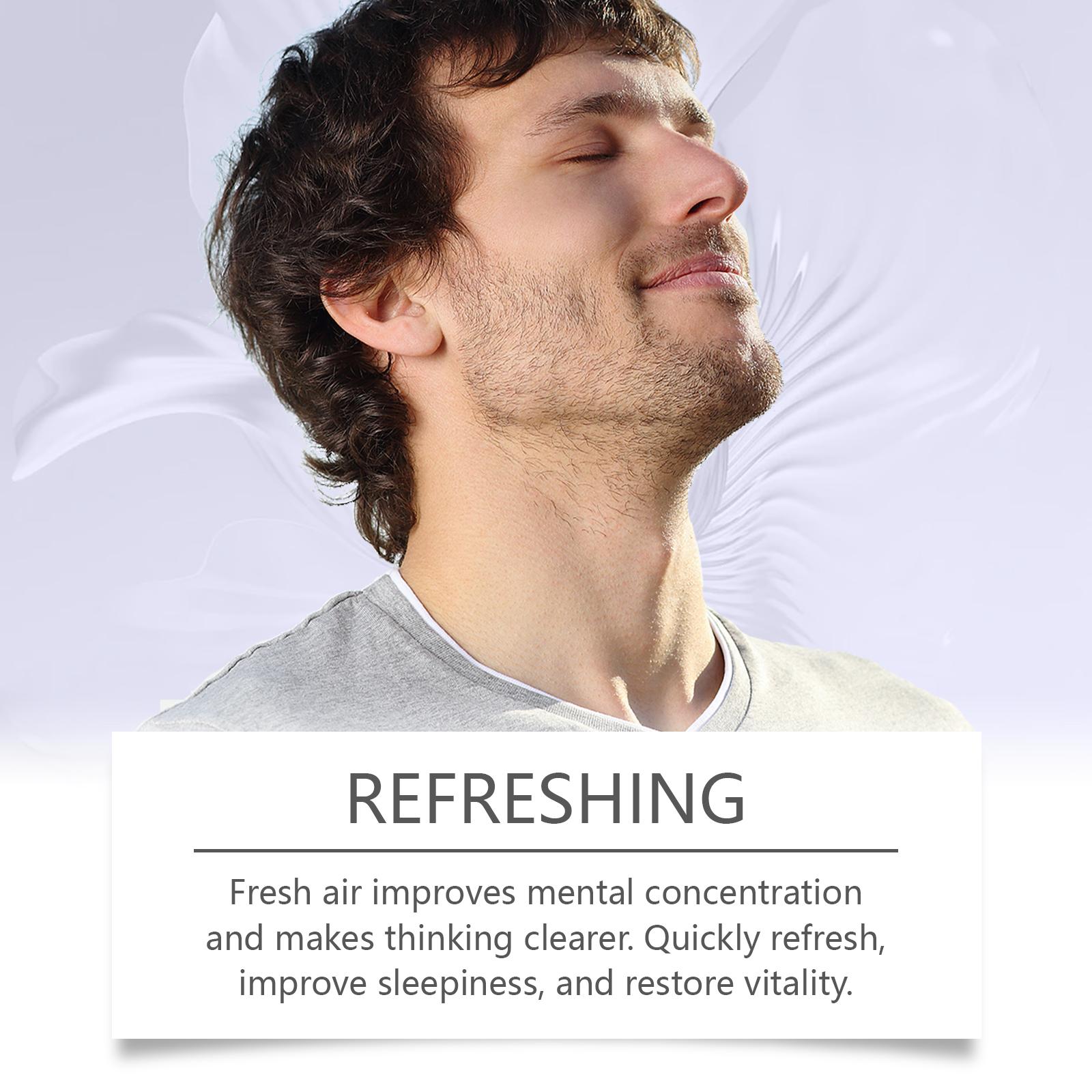 Laniska Nasal Inhaler - Refreshing Menthol Energy Boost Stick  Oral, Cleansing, Herbal