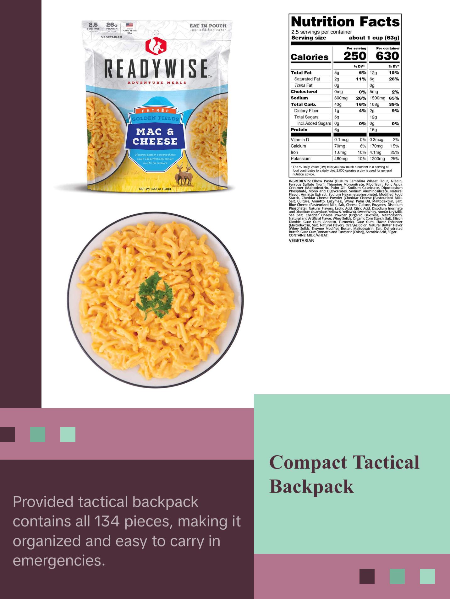 ReadyWise - Complete 2-Day Emergency Survival Backpack ReadyWise - Complete 2-Day Emergency Survival Backpack