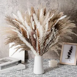 50pcs Small Reed Bunny Tail Grass Bouquet, Boho Home Decor, DIY Dried Flowers Arrangement, No Vase Included, Universal Setting