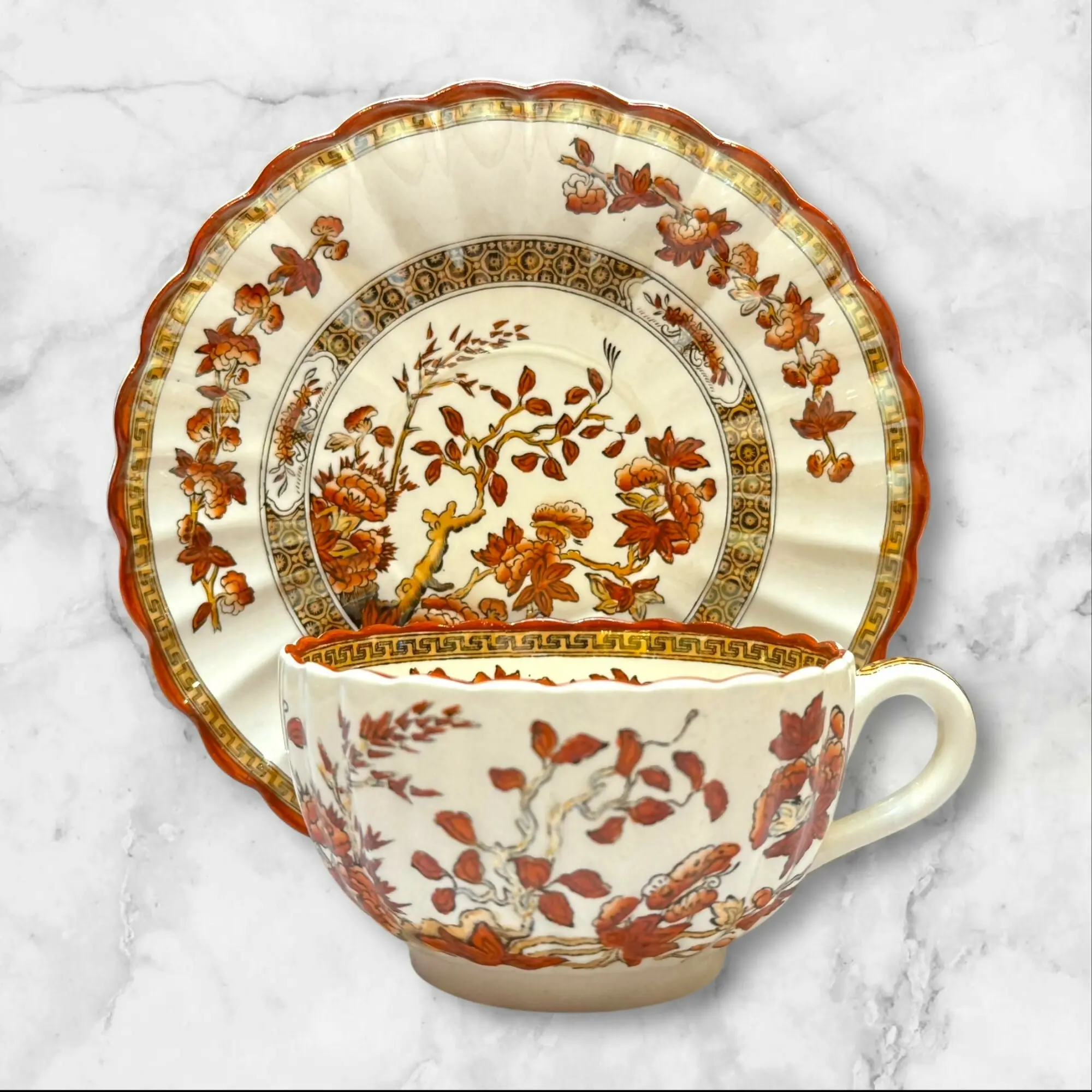 Spode Copeland India Tree Orange Rust Cup & Saucer | Excellent Condition