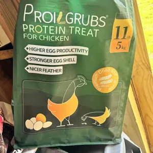 11LBS Non-GMO-Dried Worms for Chickens All Natural Dried Black Soldier Fly Larva Treats, Dried Meal Worms for Chickens, Hens, Birds... Dry Food  treats for chickens  Feeder  fly larva  Feeding #backtoschool #sohochic