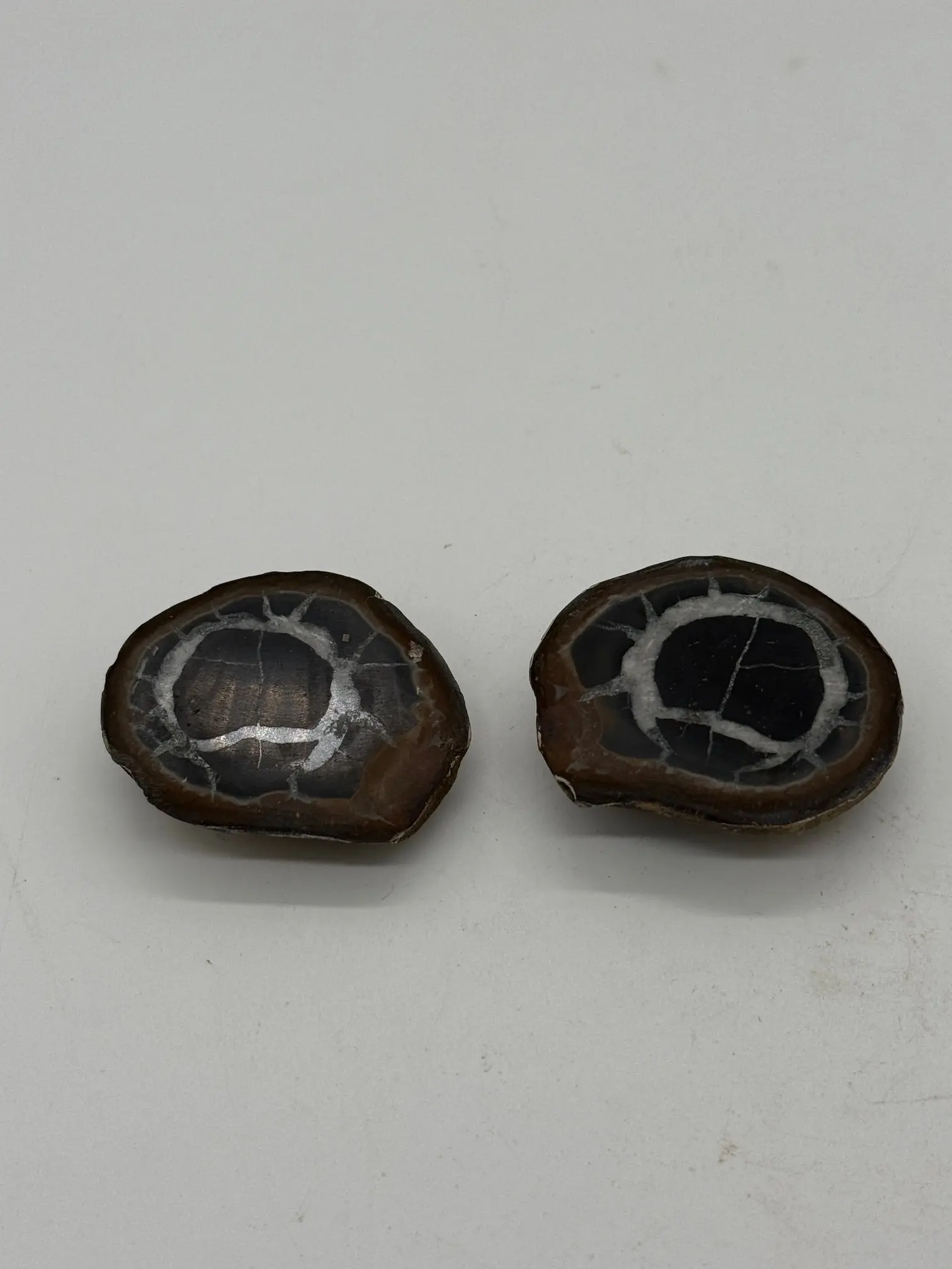 POLISHED SEPTARIAN NODULE HALVES #9 NATURAL CRYSTAL