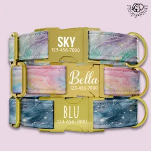 Celestial Mystical Personalized Dog Collar and Leash Gift Set Custom Dog Collar Engraved Name Personalized Engraved Puppy Dog Gift FF-45