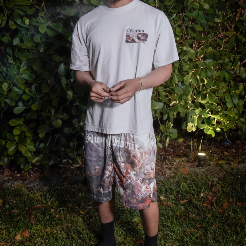 Heavenly Haze Mesh Shorts