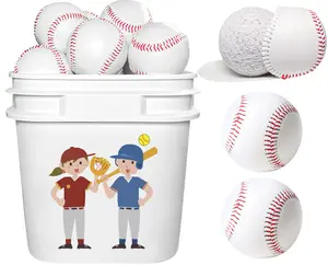 Bucket of Baseballs - 24 Pack Standard Size Adult Training Balls for Pitching, Hitting, Fielding - Unmarked & Leather Covered Practice Baseballs - Perfect for Youth Baseball