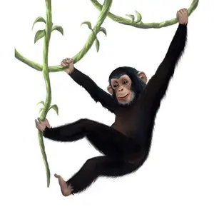 Monkey Mural Decal