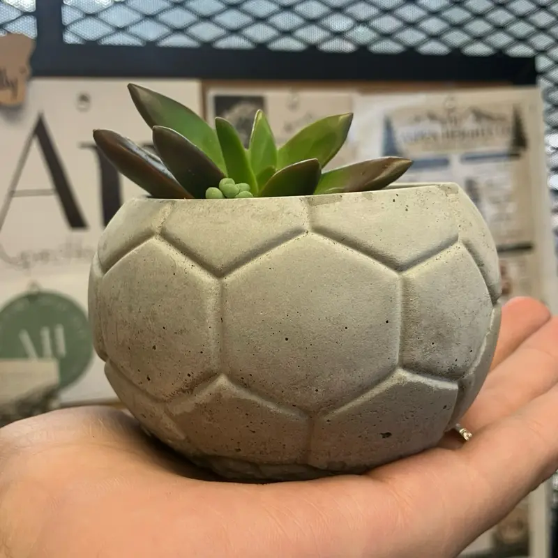 Handmade 3" Soccer Ball Planter | Small Concrete Plant Pot | Soccer Gift for Plant Lovers