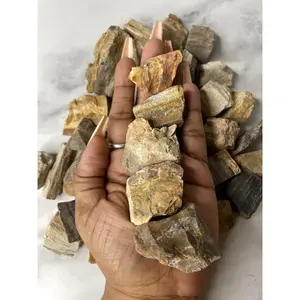 Petrified Wood Raw Stone