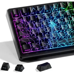 x XVX Spider Web Keycaps 60 75 100 Percent - Shine Through Keycaps w/IMD Tech, for Mechanical Keyboards, Full 118 Key Set, OEM Profile, Lines Backlit, Side Printed - Black