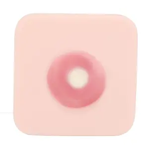 Abscess Incision Drainage Pad, Skin Abscess Suture Pad Sebaceous Cyst Surgicals Removal Training Tool for Teaching Demonstration