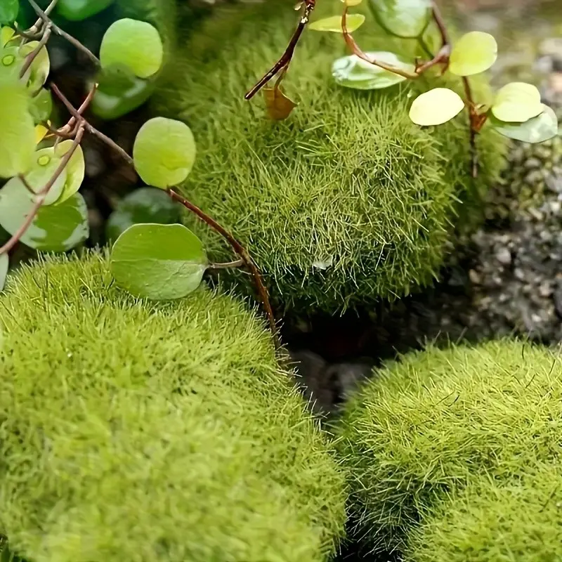 11-Piece Bright Artificial Moss Rock Set, PP Material Aquarium Decor, Fish Tank Decorations, Aquarium Rocks, Ideal for Fish Tank & Amphibian Habitat, Durable & Lifelike