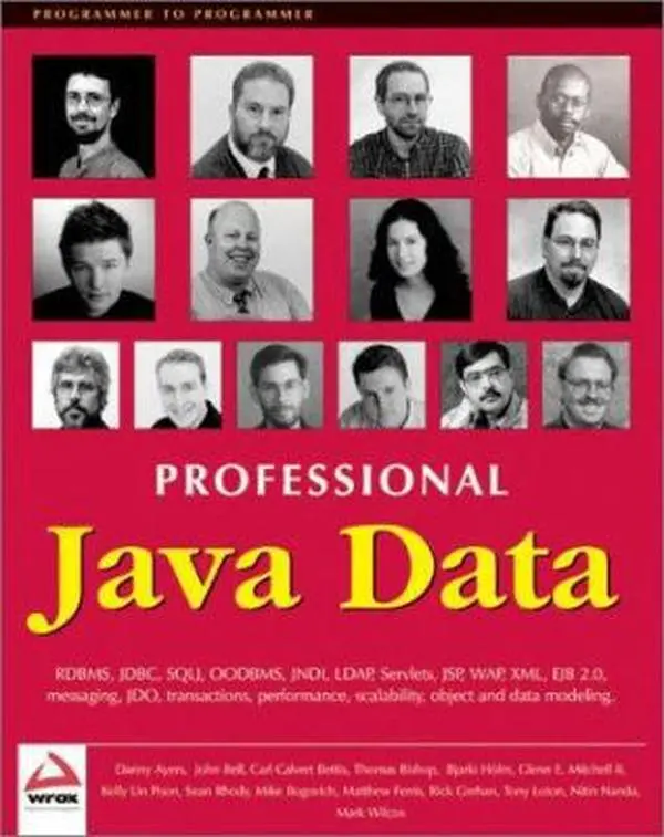 USED-Professional Java Data: RDBMS, JDBC, SQLJ, OODBMS, JNDI, LDAP, Servlets, JSP, WAP, XML, EJBs, CMP2.0, JDO, Transactions, Performance, Scalability, Object and Data Modeling by Carl Calvert Bettis (Paperback)