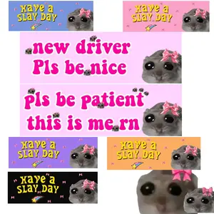 Funny Meme Sticker Pack, Have a Slay Day! Hamster & Sad Rat Design, Perfect for Car Bumpers/windshield Decor, Includes Free Random Memes