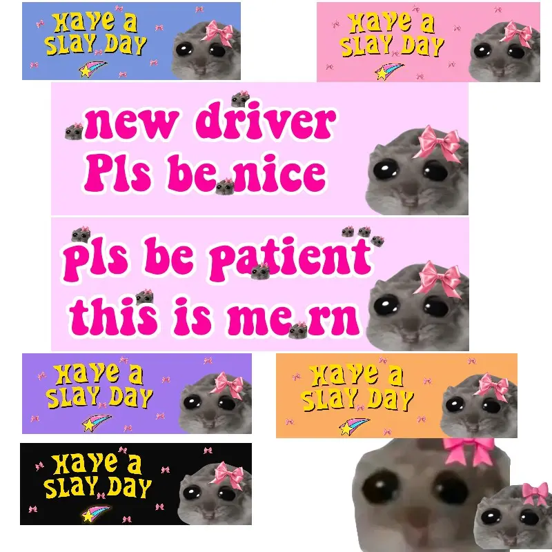 Funny Meme Sticker Pack, Have a Slay Day! Hamster & Sad Rat Design, Perfect for Car Bumpers/windshield Decor, Car Decals, Sticker for Cars, Includes Free Random Memes