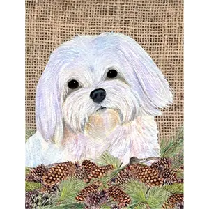 Carolines Treasures  28 x 40 in. Maltese House Size Canvas Flag