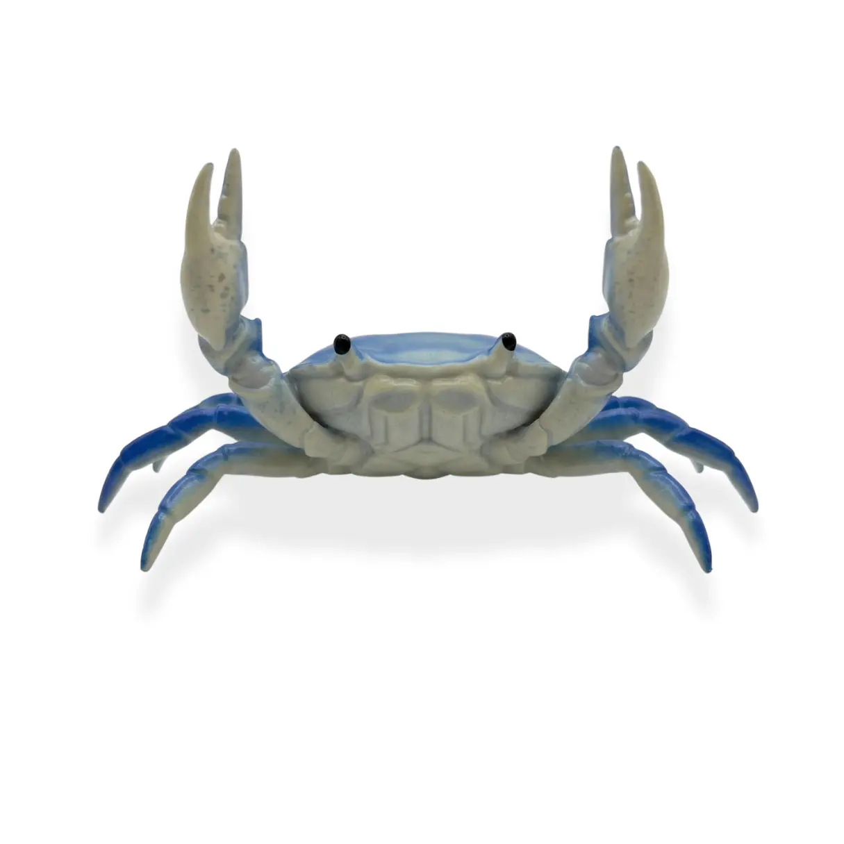 DeEnti's Dennis the Crab Acrylic Brush Holder, Beauty & Personal Care Nail Art Manicure Tool Organizer